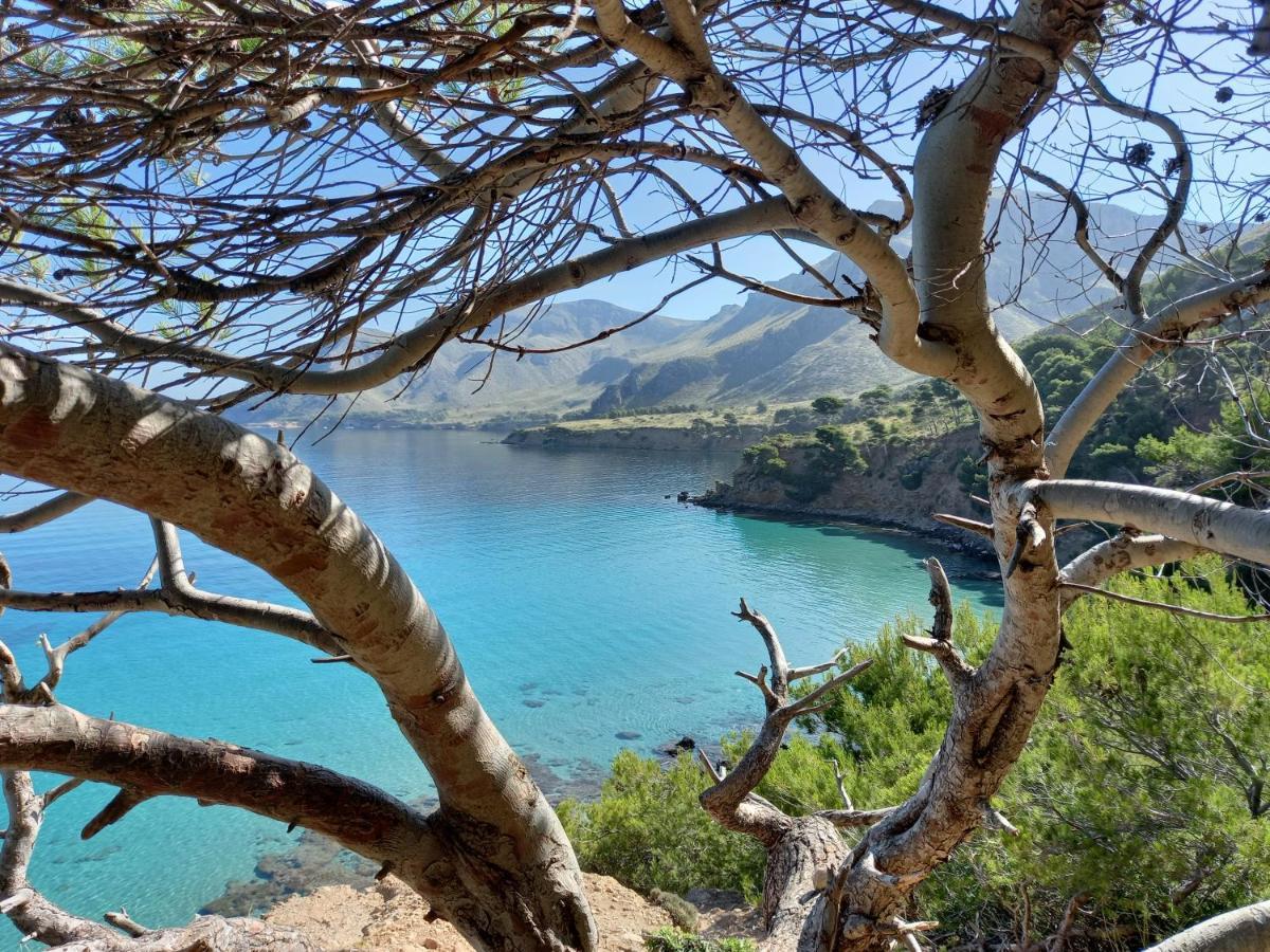 El Nido De Betlem Apartment โคโลเนีย เด ซานเปโดร ภายนอก รูปภาพ